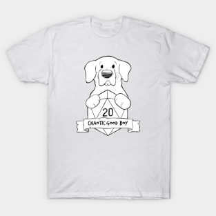 Smaller Print - Chaotic Good Boy T-Shirt